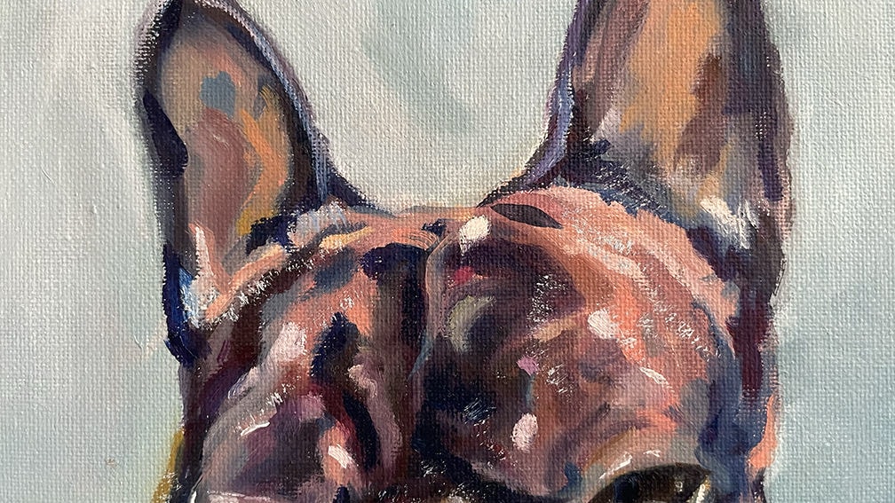 寵物油畫訂製 │ 法鬥 – 阿發