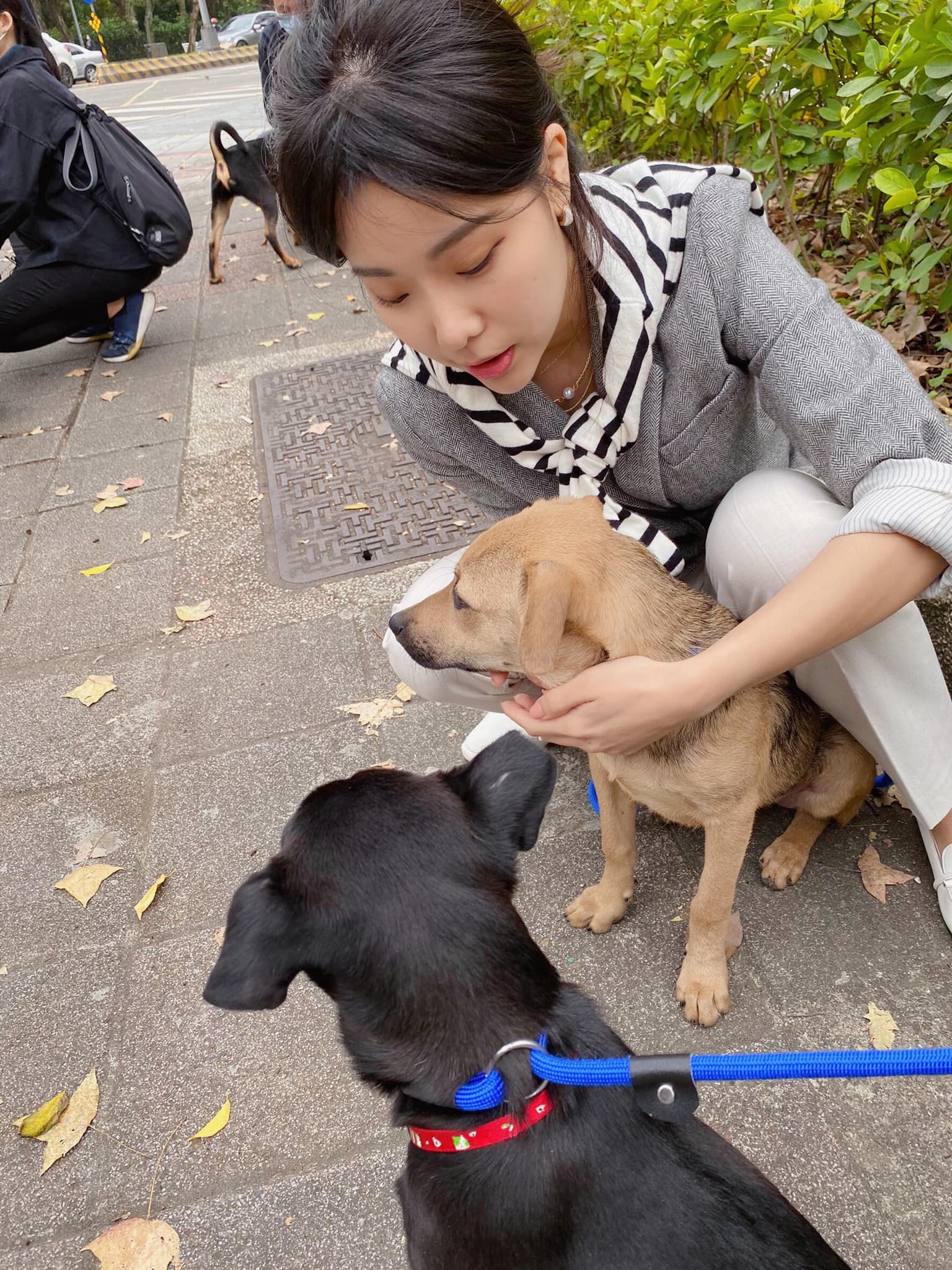 遛狗志工 │  公益活動 │ 油畫精靈出任務