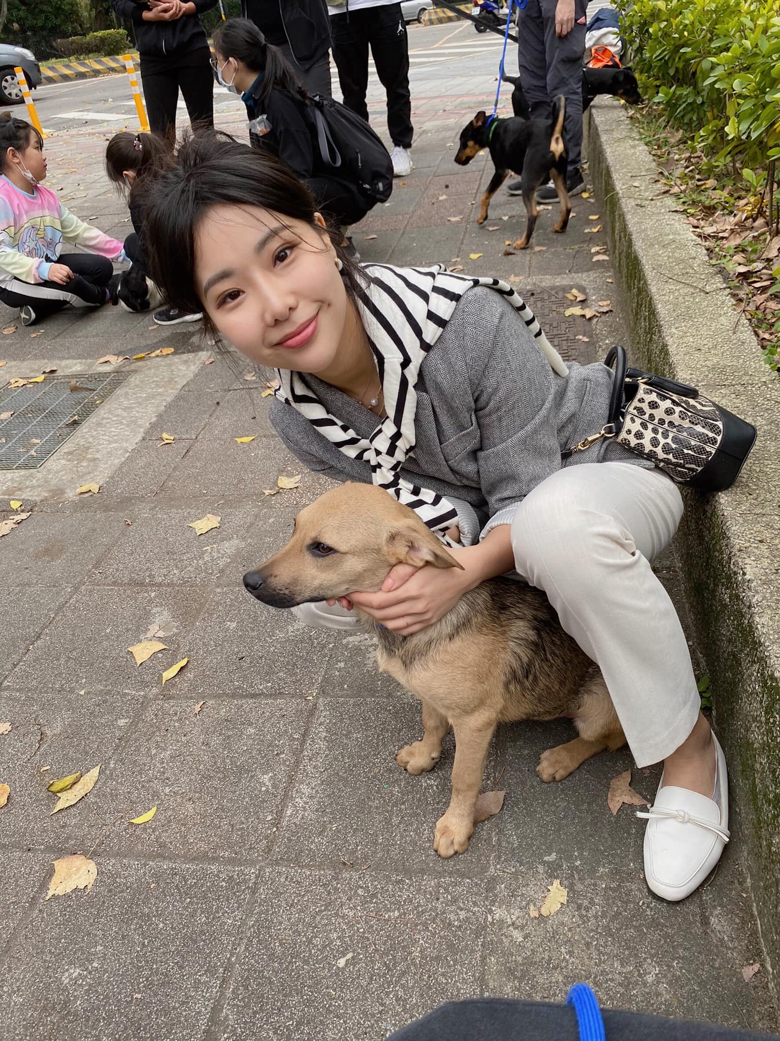 遛狗志工 │ 公益活動 │ 油畫精靈出任務 - 第3張圖 遛狗志工 │ 公益活動 │ 油畫精靈出任務