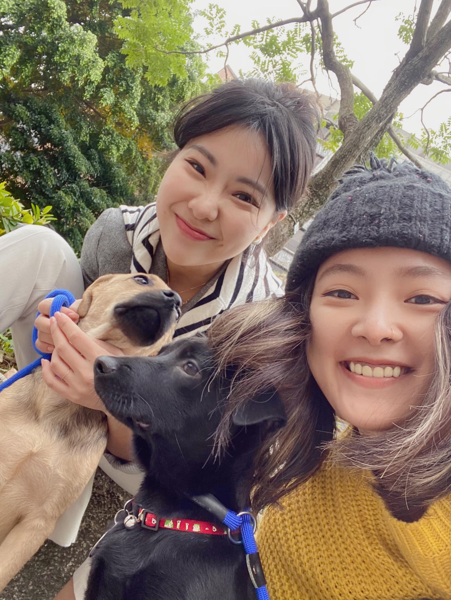 遛狗志工 │  公益活動 │ 油畫精靈出任務