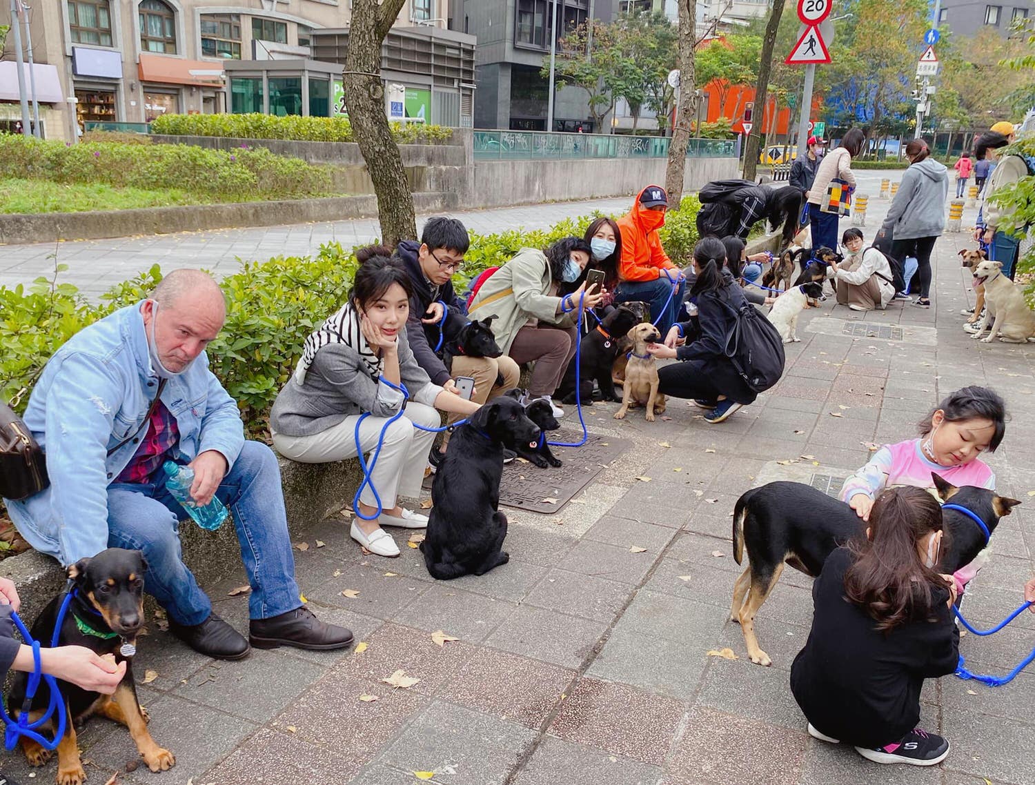 遛狗志工 │ 公益活動 │ 油畫精靈出任務 - 第4張圖 遛狗志工 │ 公益活動 │ 油畫精靈出任務