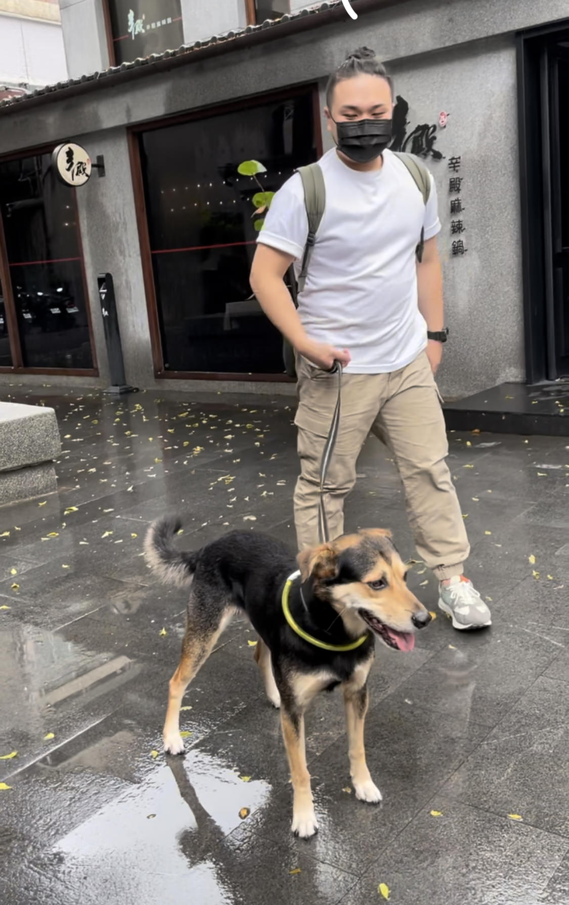 寵物油畫訂製 │ 狗狗米克斯-Rax - 第1張圖 寵物油畫訂製 │ 狗狗米克斯-Rax