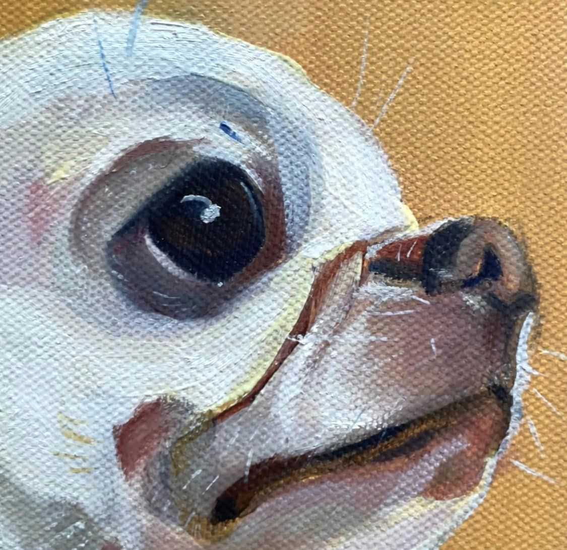 寵物油畫訂製 │ 吉娃娃-肉圓 - 第3張圖 寵物油畫訂製 │ 吉娃娃-肉圓