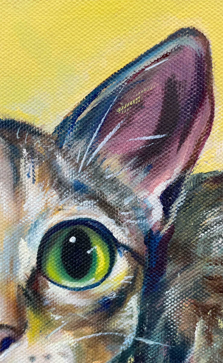 寵物油畫訂製 │ 貓咪-歐歐 - 第2張圖 寵物油畫訂製 │ 貓咪-歐歐